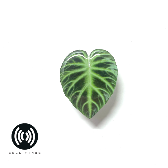 Cute Green Leaf Phone Grip & Stand, Fits All Cell Phones